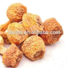 Agaricus Blazei seco